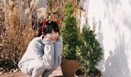 金智秀专辑爆料最新消息,神秘曲目引粉丝热议