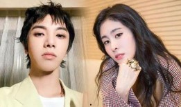 爆料鹿晗舔狗视频大全集,揭秘明星背后的真实情感纠葛