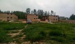 彩塘违建最新爆料,揭秘违规建筑背后的真相