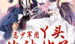 恶少在线观看,在线观看，揭开复仇之路