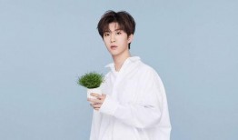 范丞丞和贾玲爆料视频,揭秘娱乐圈幕后趣事