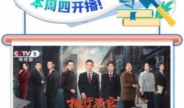 执行法官 在线观看,执行法官在线观看全纪录