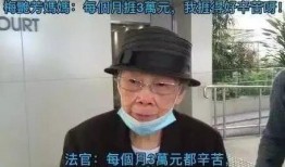 刘生爆料梅艳芳视频