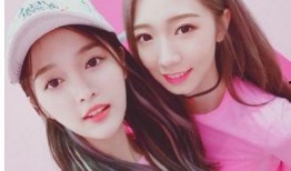 娱乐吃瓜nini,揭秘娱乐圈幕后故事