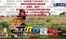 小草王爆料视频文案,视频文案背后的惊人真相