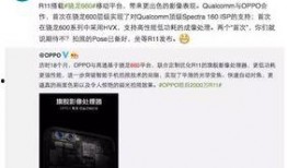 打假内鬼爆料视频大全,视频大全背后的真相与警示