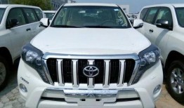 新款霸道爆料图片视频播放