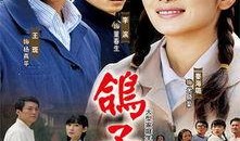 鸽子哨电视剧在线观看,穿越时空的浪漫传奇