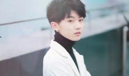 刘大锤爆料马嘉祺原视频,揭秘背后惊人内幕