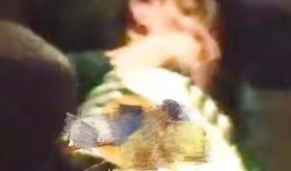 爆料大全亚当与夏娃视频,爆料大全中的神秘视频解析