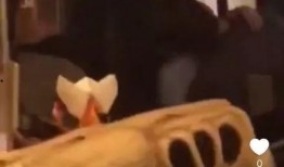 吃瓜爆料李诞视频大全集,笑料百出，揭秘娱乐圈幕后故事