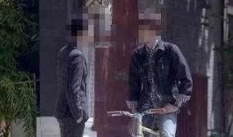 娱乐大爆料王宝强视频,娱乐大爆料背后的真相