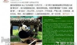 美国人爆料熊猫视频播放,网友直呼“萌化人心”