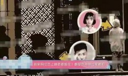 媒体爆料白鹿事件视频大全,揭秘背后真相与争议