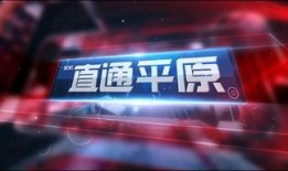 新乡今日爆料新闻视频回放,最新爆料新闻视频回顾