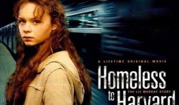 风雨哈佛路在线观看,逆境中的奋斗与成长