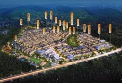 泰禾内部爆料事件视频,揭秘公司内部惊人真相