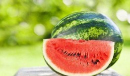 网红情报处吃瓜,吃瓜群众背后的故事