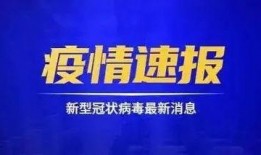 椒江最新爆料新闻事件处理结果,真相大白，责任追究