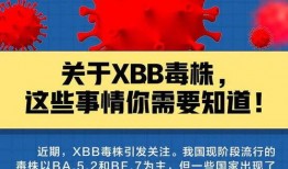 新冠感染最新爆料,揭秘病毒变异与全球防控新挑战