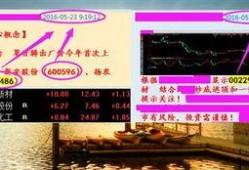 甘州2017最新爆料,揭秘古城焕新背后的故事