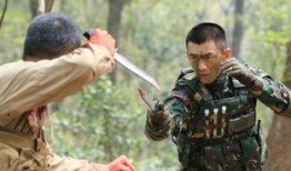 电影霹雳火在线观看,燃烧激情，热血燃情