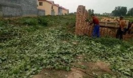 彩塘违建最新爆料,揭秘违规建筑背后的真相