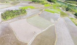 全州咸水乡村爆料视频播放,揭秘视频播放背后的魅力