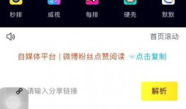 网友爆料模板快手视频,快手视频惊现惊人一幕，引发网友热议！