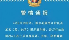 重庆高中爆料案件最新,揭秘校园疑云背后的真相