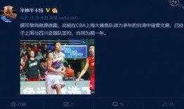 8月赛季最新爆料群组,揭秘新赛季精彩看点与神秘阵容