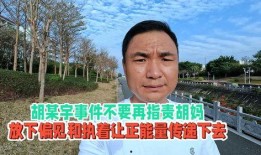 胡某宇天涯爆料最新新闻,最新揭秘事件背后惊人真相