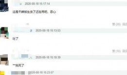 爆料视频每天更新几集,视频更新集数大盘点