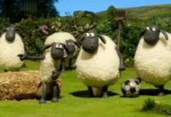 小羊爆料视频真实,真实事件背后的惊人真相