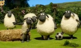 小羊爆料视频真实,真实事件背后的惊人真相