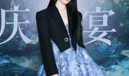 刘亦菲爆料最新情况,揭秘演艺生涯背后的心酸历程