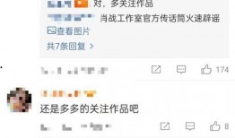 肖战杨紫最近的爆料视频,幕后故事与情感纠葛