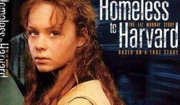 风雨哈佛路在线观看,逆境中的奋斗与成长